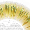Love Burst_Gold - Image 2