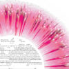 Love Burst_Pink - Image 2