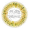 Love Burst_Gold